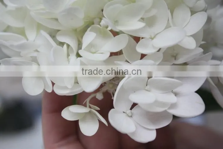 Elegant in smell hot-sale hydrangea flower for sale