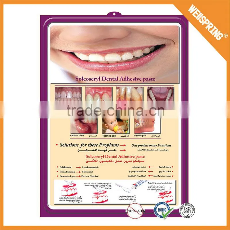 Big sale custom sizeeducational medical chart