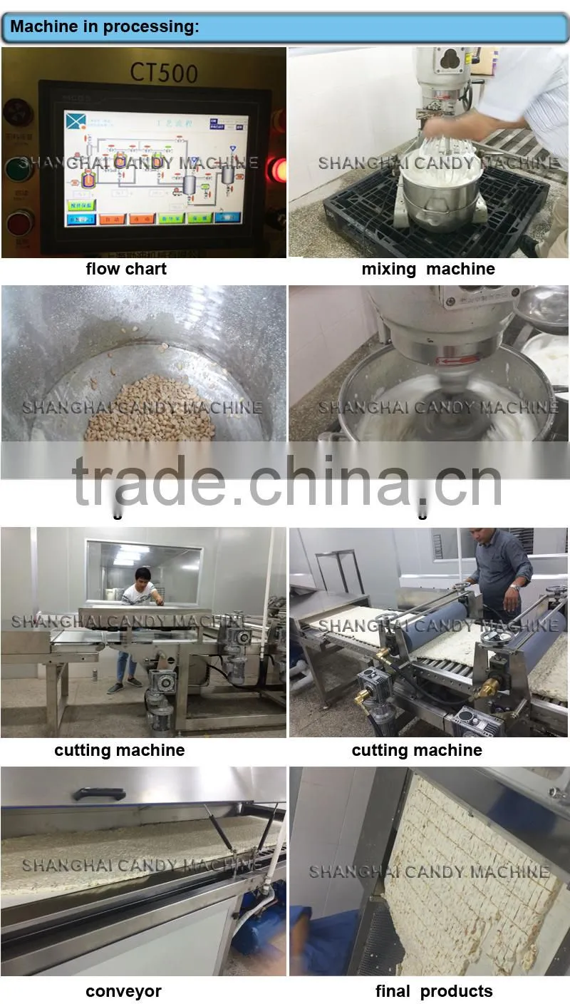 NZ300/600 Peanut Nougat candy Production Line