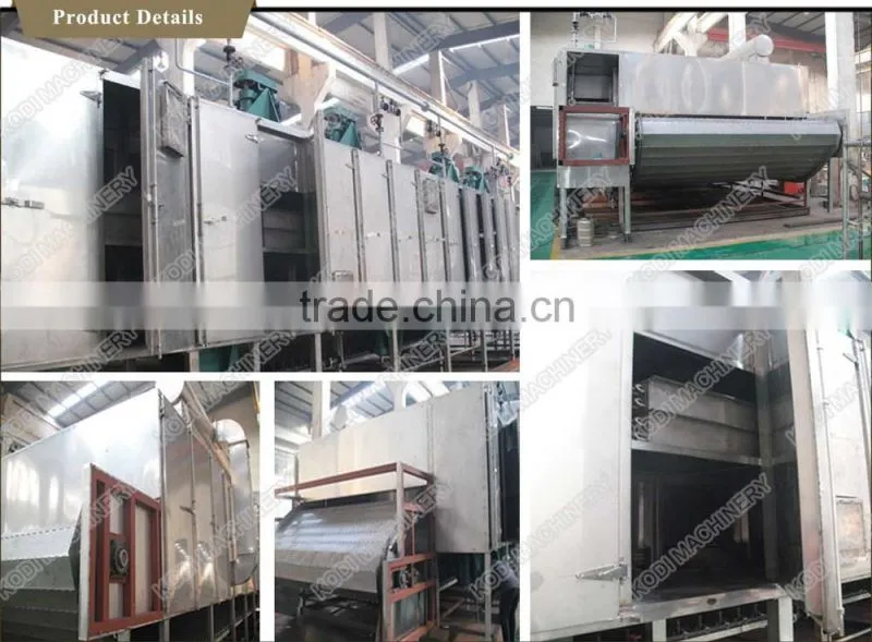 DW Model Continuous Sunflower Seeds Mesh Conveyor Belt Dryer