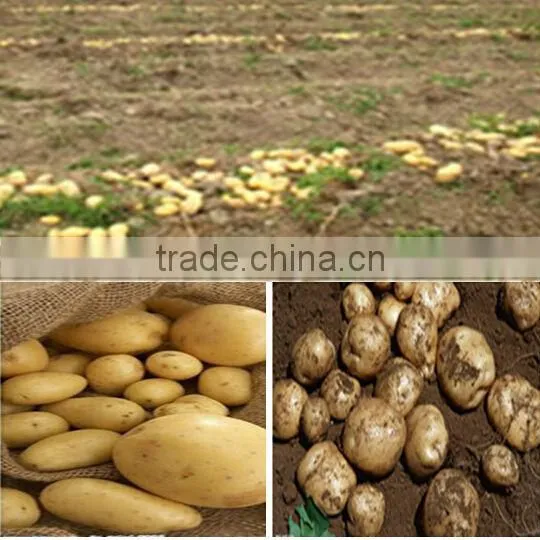 ANON Tractor Mounted Potato and onion Harvester