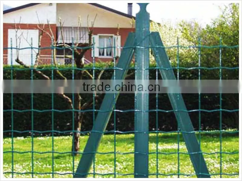Wave-Type Welded Mesh(Factory)