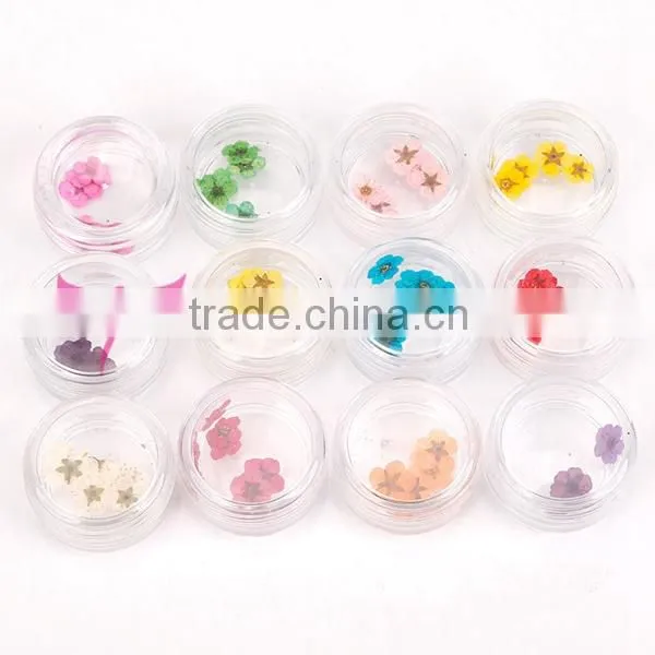 wholesale Nail Art Dry Dried Flowers Decoration With Mix Different Colors