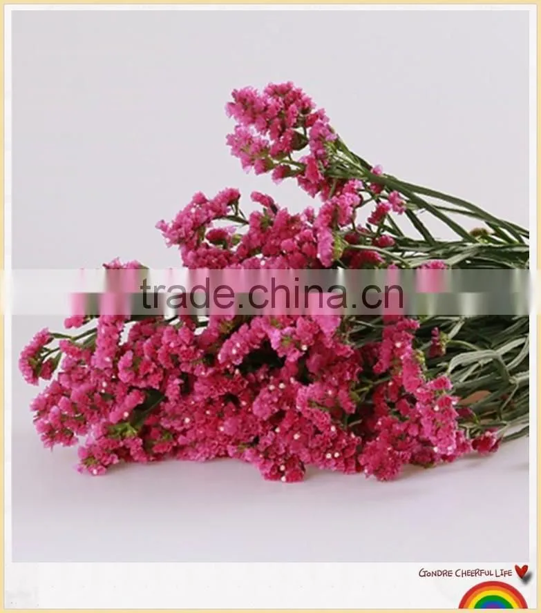 forget me not flower to make flower bouquets