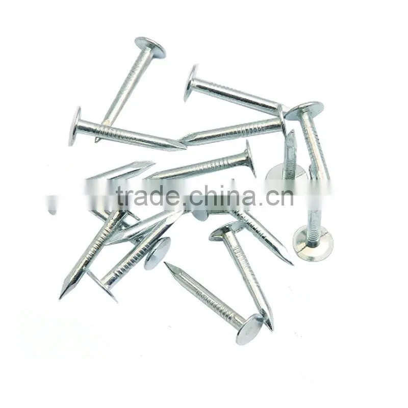 Insulation nails,Iron Nail,Metal Nail with High Quality