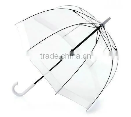 19''*8K custom printed transprent umbrella