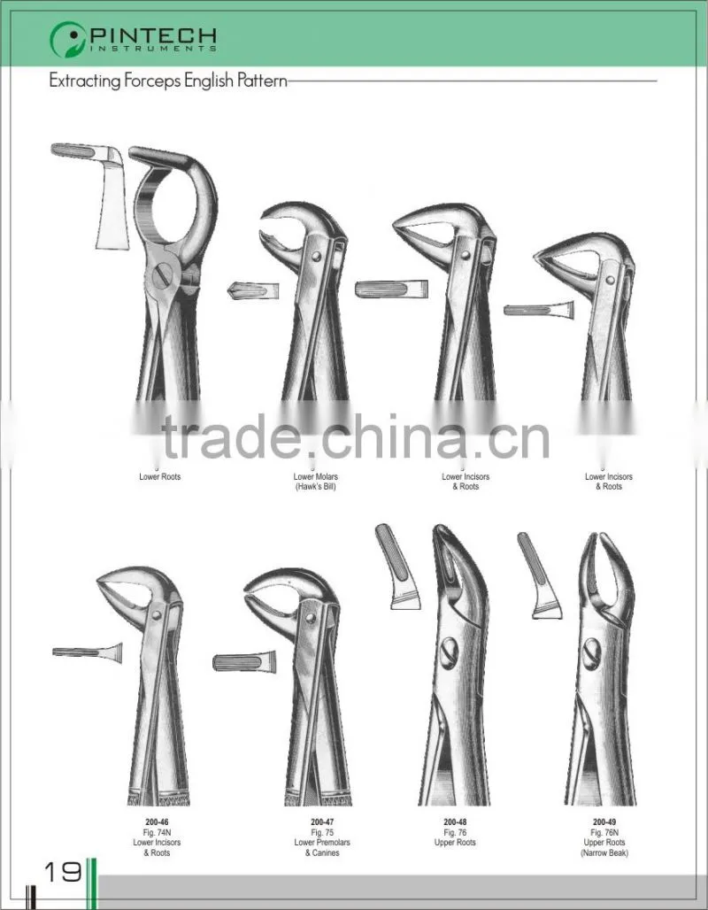 Dental Extraction Forceps