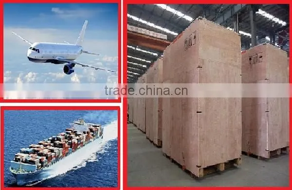 500g and 1kg Granule Filling Machine for rice / sugar / beans / nuts