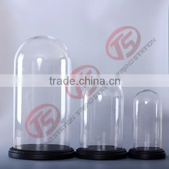 Glass garden decoration cloche