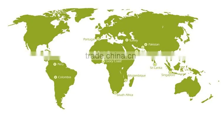 vehicle 3G GPS Tracking system with long standby time