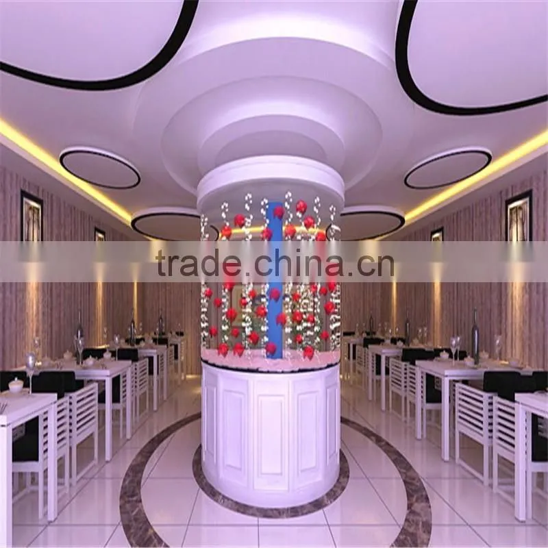 Fish small fish tanks aquarium