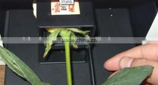 Touch Screen Printer