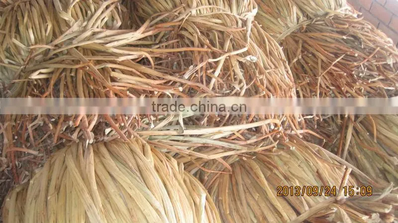 Dried Water Hyacinth _ QQ : 2598494113