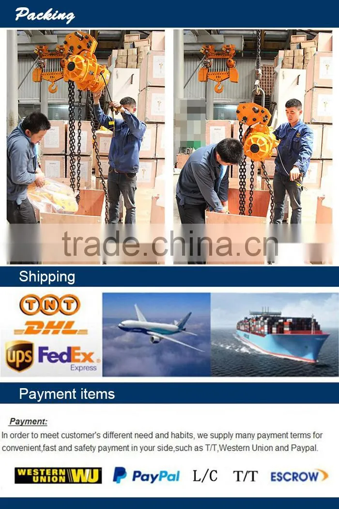100m electric chain hoist 1phase 220v/110v electric chain hoist