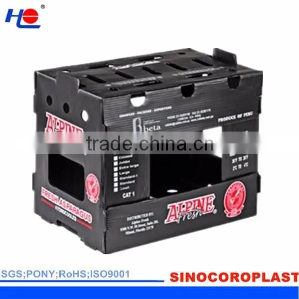 Recyclable Plastic Corrugated Box