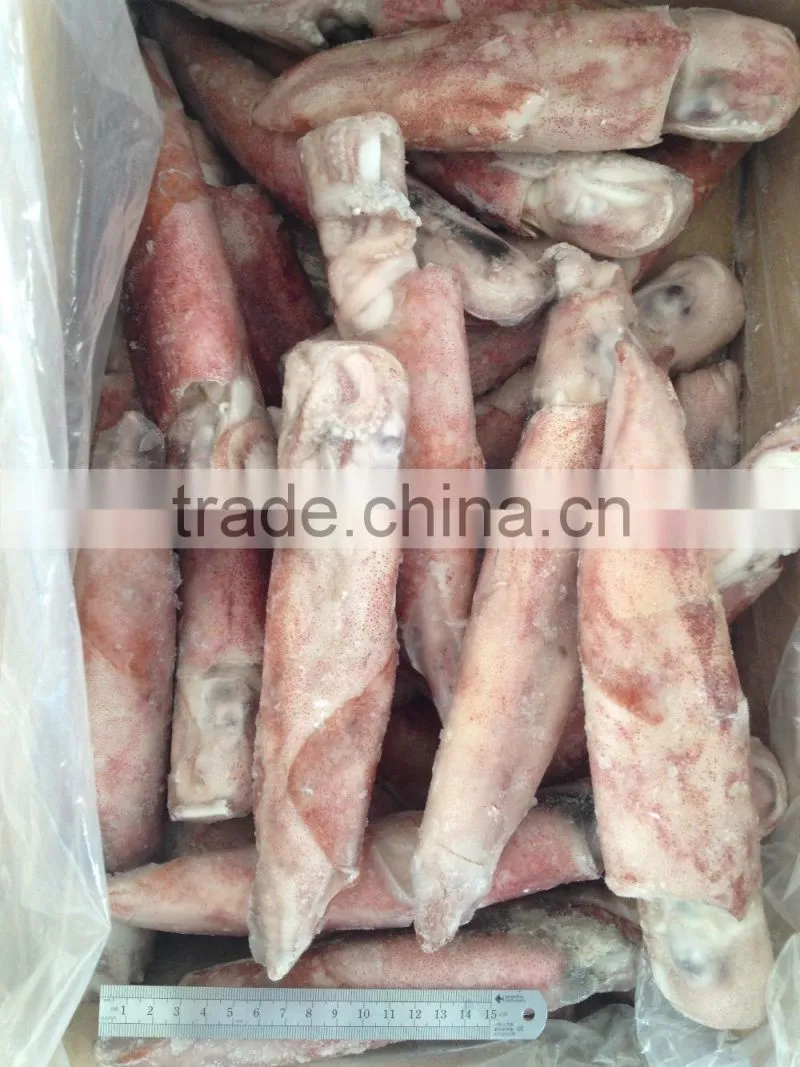 Frozen Illex