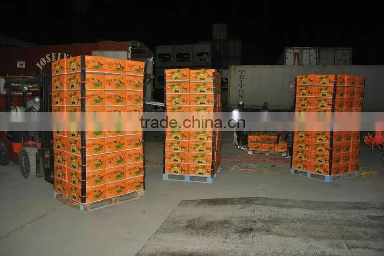 ECUADOR ORIGIN BANANA FROM TURKEY BY ALDERA QUALITY AND GUARANTEE