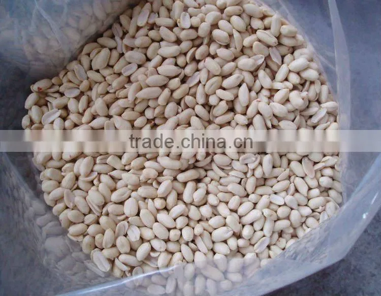 long blanched peanut kernels 2 *12.5kgs vaccum bag/carton