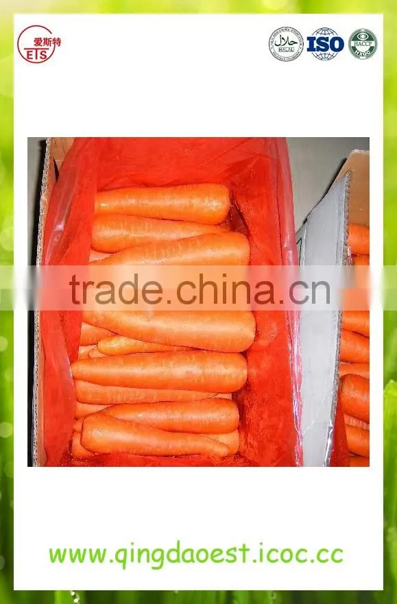High quality fresh 2016 new carrot