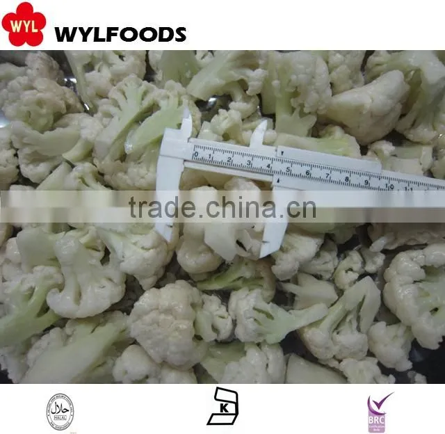 china good price frozen Boletus edulisfrozen mushroom