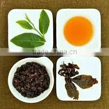 Oolong tea plus