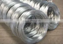 Galvanized Iron Wire