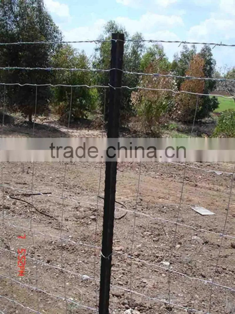 Y Section Iron Poles Y Star Pickets Cattle Fence Post Cattle Fence Pole Farm Fence Post