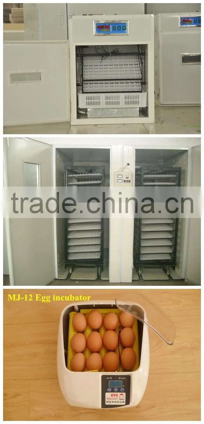 Chicken breeding equipment automatic chicken drinker