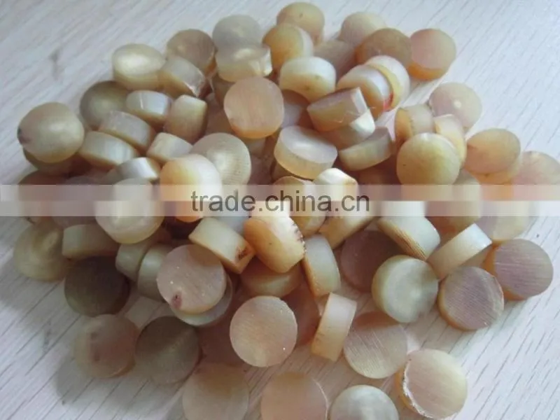 Natural india buffalo horn button blank for coat
