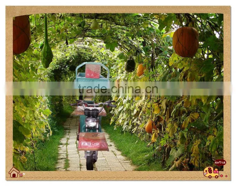 650W farming electric cargo box tricycle for orchard grove