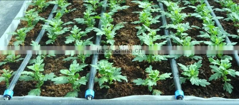 2015 best selling PP Compression Fittings for Irrigation with high quality and competitive price