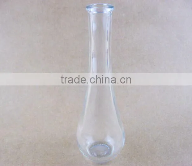 clear glass vase / flower bottle
