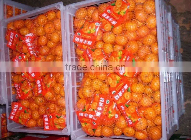 Mini Size Baby Juicy Orange