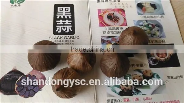 China garlic factory offers best natural black garlic price