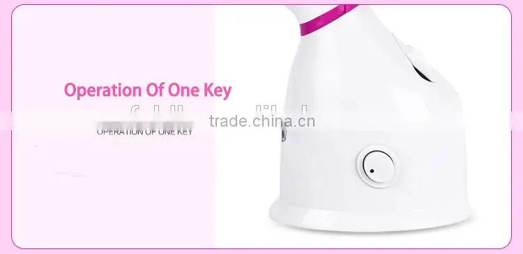 Ozone Facial Steamer