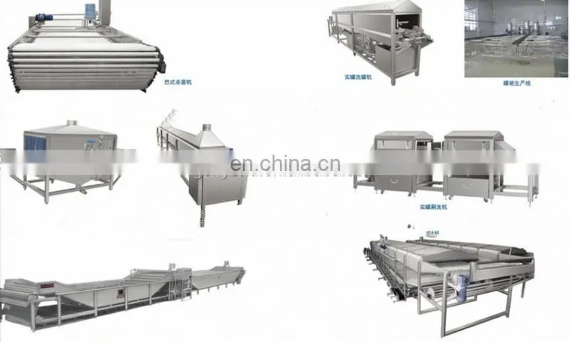 High efficiency canned pineapple processing plant / pineapple in syrup processing line