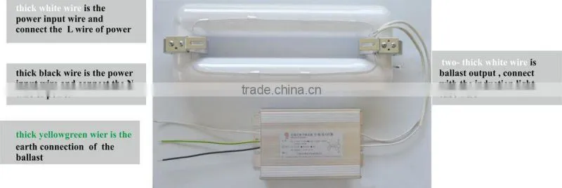 dimmer induction lamp