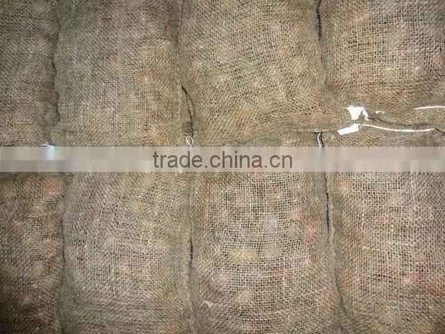 2015 crop Chinese Shandong origin fresh chestnut for export