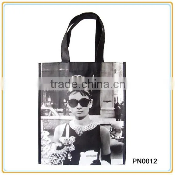 PP Lamination Non Woven Bag