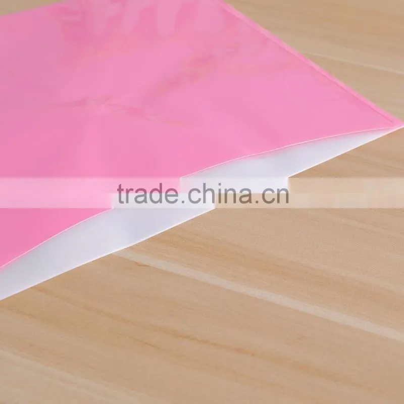 My clear bag customized A4/FC PP plastic vivid file bag document bag