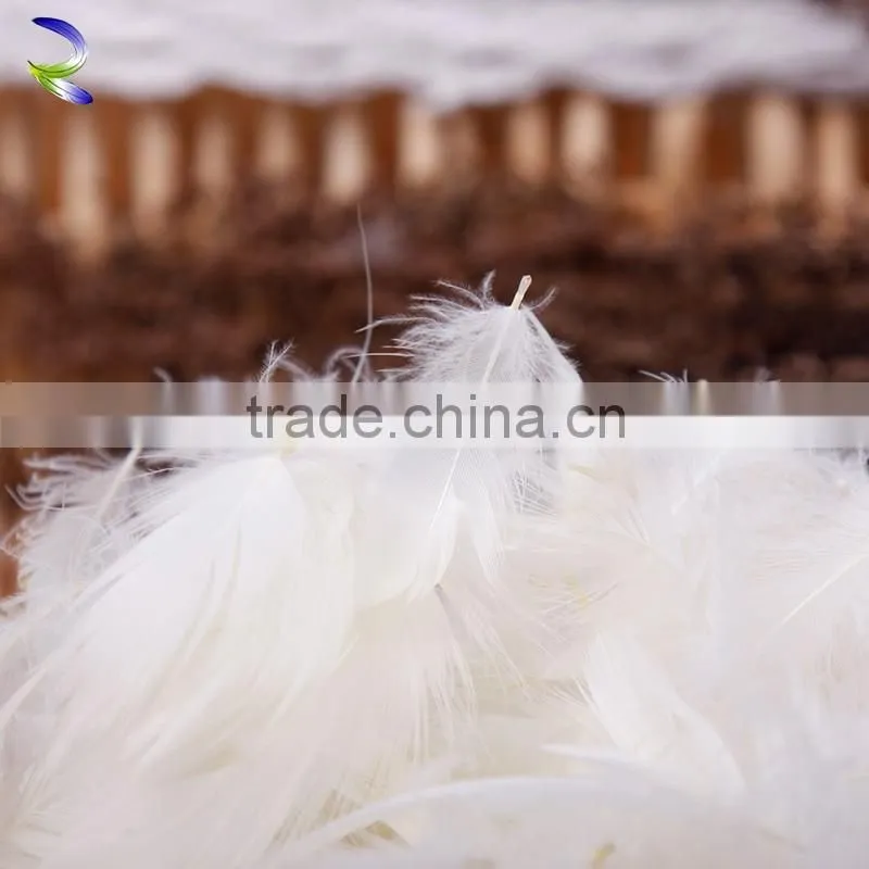 Best selling wholesale washed white goose feather