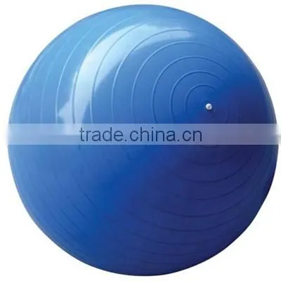 Pilates Exercise Ball