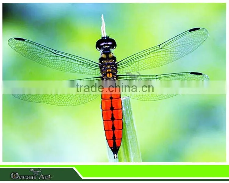 Outdoor Playground Blue Dragonfly