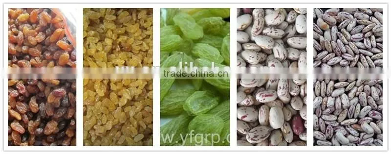 Sultana Raisin