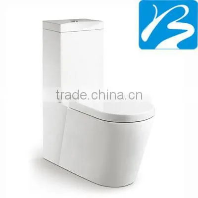 European Standard washdown two piece toilet