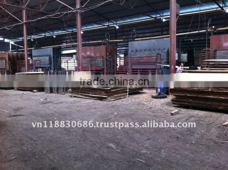Bintangor plywood