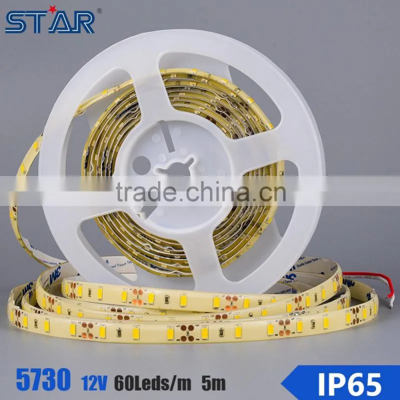 DC12V Blue yellow red warm white epistar smd 5630 led strip