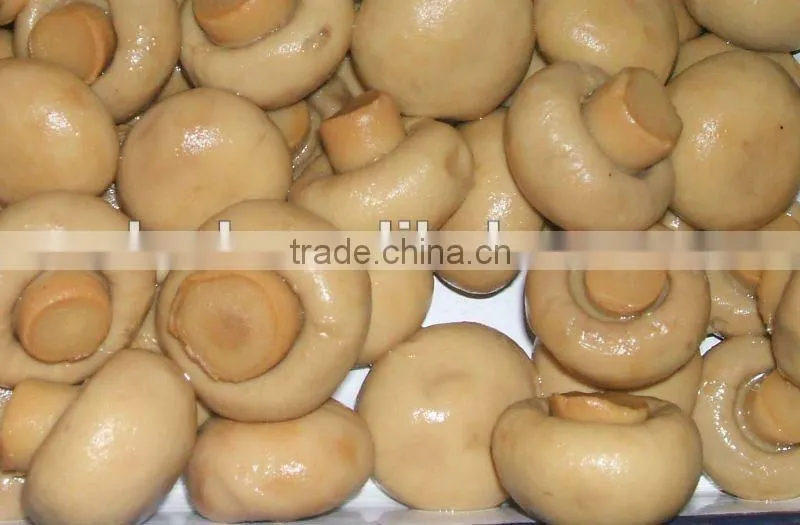 hot sale!!Chinese Canned Mushrooms in tin