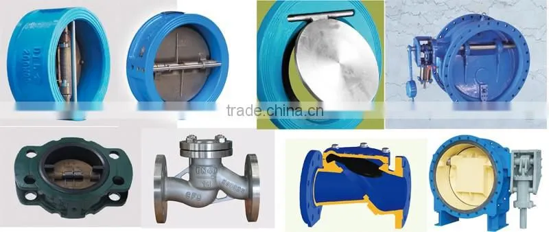Dual Plate Disc Check Valve