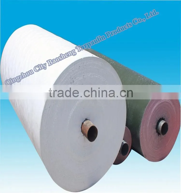 2015 new china canvas